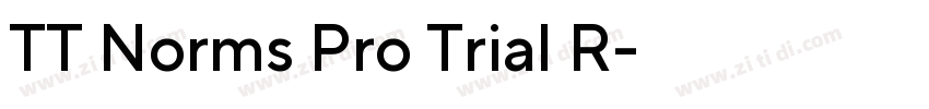 TT Norms Pro Trial R字体转换